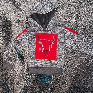 Kids Gray and Red Hoodie with Bull Graphic